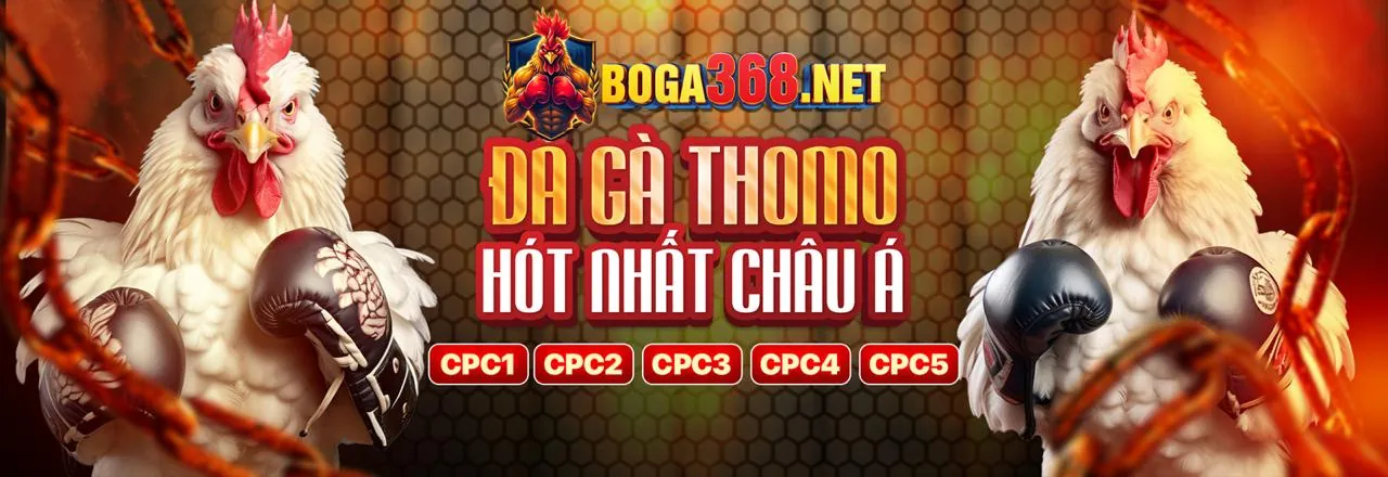 Cá Cược Thể Thao Đỉnh Cao tại bet999 chính thức